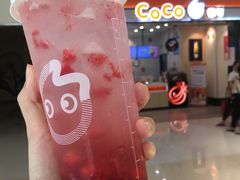 -CoCo都可(铁西万达店)