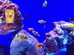 -上海海洋水族馆