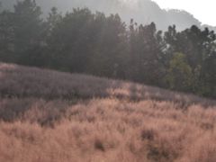 -昆嵛山石门里景区