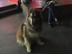 -华润万家(荔湾店)