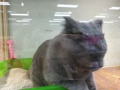 -乐宠宠物店(世纪金源店)