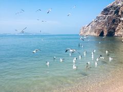 -海驴岛(荣成市)
