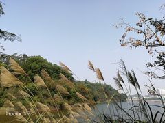 -东湖国际大酒店叠石酒楼