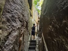 -鲁山国家森林公园