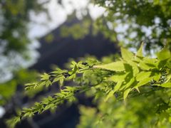 -杭州半山国家森林公园