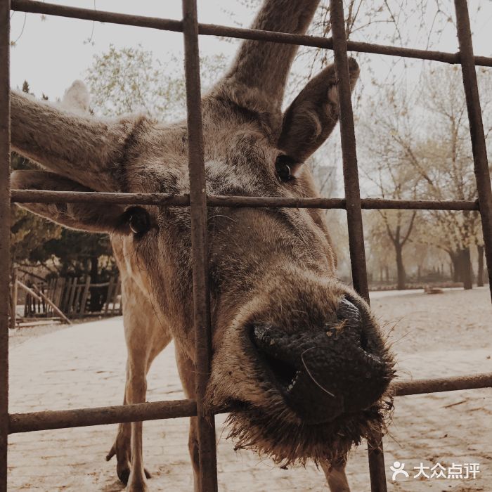 天津動物園圖片