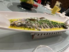 -沪碟·精菜坊(闵行店)