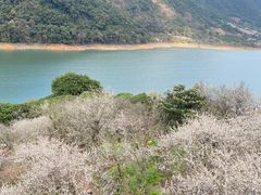 -广州市流溪河国家森林公园