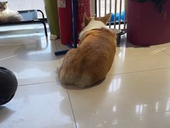 -平行世界·猫咖(首经贸店)