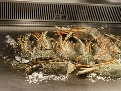 -渔乐之昕·铁板烧自助餐(虹悦城店)