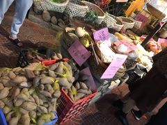 -园林美食城·本土农家菜(杨和镇店)