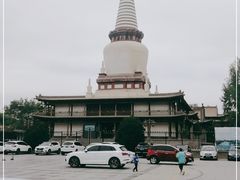 -张掖大佛寺景区