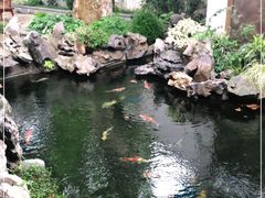 -鲤院·新中式美学·庭院餐厅(夫子庙店)