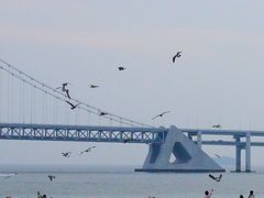 -星海湾跨海大桥