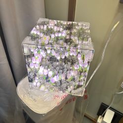 -梓爱月子中心(花都店)