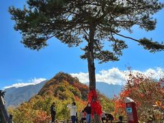 -秦岭终南山世界地质公园翠华山景区