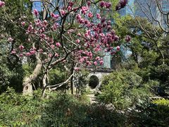 -静安公园(静安寺街道)