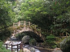 -西岭雪山大飞水景区