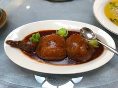 -丁老爷子苏香圆