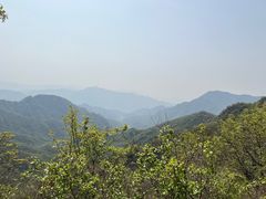 -大岭沟猕猴桃谷风景区