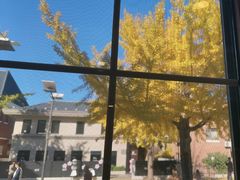 -天正河鲀·河豚亭(大连店)