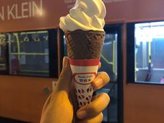 -富豪雪糕车流动点(尖沙咀店)