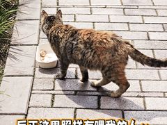 -静安公园(静安寺街道)