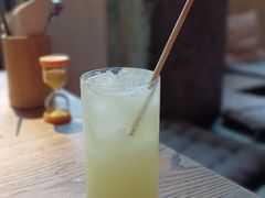 -毛辣果·酸