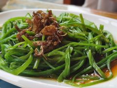 -尽善百年古院餐厅(王家老宅店)