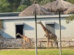 -北京野生动物园