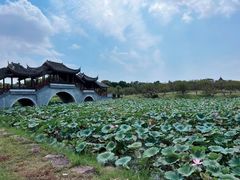 -上海海湾国家森林公园