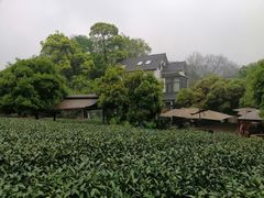 -自在弥林花园餐厅(云栖店)