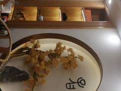 -子曰书院·古筝围棋书法国画小主持(夏都店)