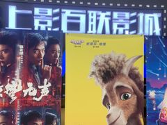 -SFC上影百联影城(川沙IMAX店)