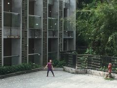 -广州市流溪河国家森林公园