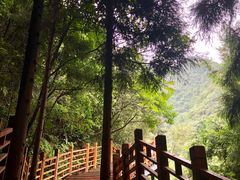 -娄山关景区