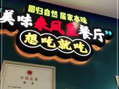 -新概念来凤鱼(璧山店)
