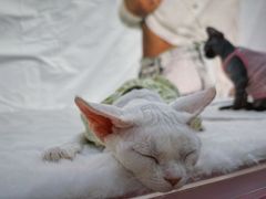 -中粮·祥云小镇