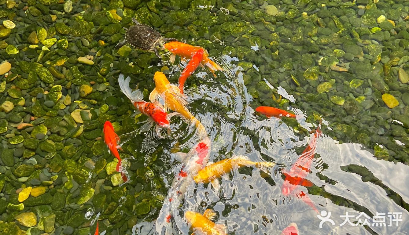 来园区内书店看书遇见《爱情应该有的样子》剧组🎬