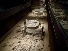 -北京大葆台遗址博物馆