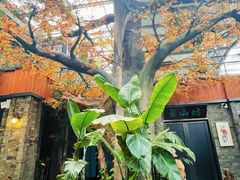 -云境生态园(红谷滩店)
