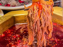 -蜀九香火锅(彩虹店)