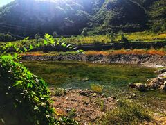 -灵山