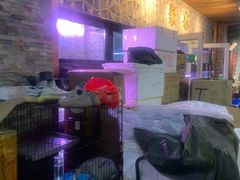 -中环花鸟鱼虫市场