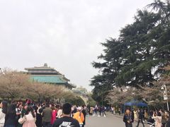 -武汉大学-樱园