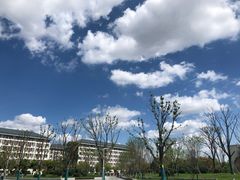 -扬州大学(扬子津校区)