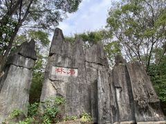 -深圳国际园林花卉博览园