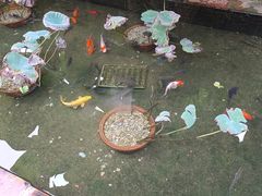 -德云居