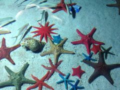 -福州罗源湾海洋世界旅游区