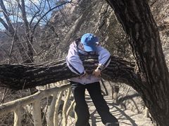 -丹东凤凰山景区